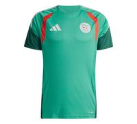 ADIDAS PERFORMANCE Camiseta funcional 'FAF TR JSY' verde S verde