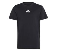 adidas Niños Football Category Graphic Shirt, Black, 11-12 Years