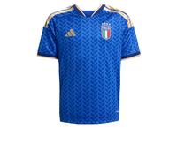 ADIDAS PERFORMANCE Camiseta funcional 'Italy 26 Home' beige / azul / azul oscuro / rojo 176 EUR