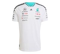 ADIDAS PERFORMANCE Camiseta funcional 'Mercedes - AMG Petronas Formula 1 Team Driver' rojo / negro / blanco LxTallas normales EUR