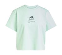 ADIDAS PERFORMANCE Camiseta funcional 'Mercedes - AMG Petronas Formula One Team' gris / menta 4XSxTallas normales gris / menta