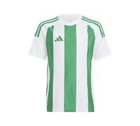 ADIDAS PERFORMANCE Camiseta funcional verde / blanco 152 EUR
