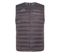 ADIDAS PERFORMANCE Chaleco deportivo 'Audi Formula One Team Engineers And Marketing' antracita / gris plateado MxTallas normales antracita / gris plateado