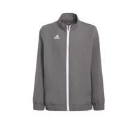 ADIDAS PERFORMANCE Chaqueta deportiva 'Entrada 22 Presentation' gris / blanco 128 gris / blanco