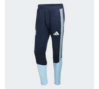 ADIDAS PERFORMANCE Pantalón deportivo 'AFA TR PNT' navy / azul claro / blanco Sxregular navy / azul claro / blanco