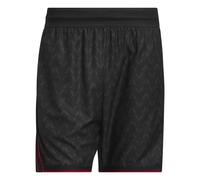 ADIDAS PERFORMANCE Pantalón deportivo 'Anthony Edwards Crazy Lite' antracita / rojo / negro Mxregular antracita / rojo / negro
