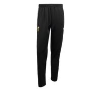 ADIDAS PERFORMANCE Pantalón deportivo 'Argentinien' negro / blanco XS-Sxregular EUR