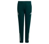 Pantalón De Entrenamiento Arsenal Tiro 25 Competition adidas MKP