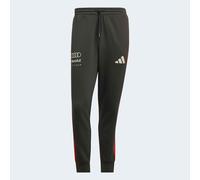 ADIDAS PERFORMANCE Pantalón deportivo 'Audi Formula One Team DNA' gris oscuro / rojo / blanco M EUR