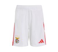 ADIDAS PERFORMANCE Pantalón deportivo 'Benfica Lissabon 25/26' azul oscuro / curry / rojo / blanco 164 azul oscuro / curry / rojo / blanco