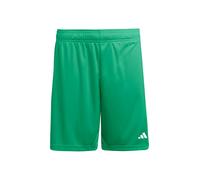 adidas Uomo Entrada26 Shorts, Team Green/White, XL