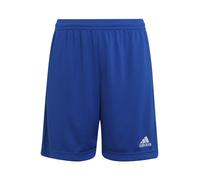 adidas Unisex niños Entrada 22 Shorts, Royal Blue, 13-14 Years