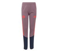 ADIDAS PERFORMANCE Pantalón deportivo 'FC Bayern München 26/27' azul noche / malva / rojo 176xregular EUR