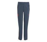 ADIDAS PERFORMANCE Pantalón deportivo 'FC Bayern München Tiro 25 Competition' gris basalto / rojo anaranjado 164 gris basalto / rojo anaranjado