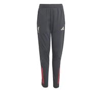 ADIDAS PERFORMANCE Pantalón deportivo 'FC Liverpool Tiro 25 Competition' antracita / rojo / blanco 152xregular EUR