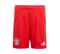 ADIDAS PERFORMANCE Pantalón deportivo 'FCB' azul / oro / rojo / blanco 140 azul / oro / rojo / blanco
