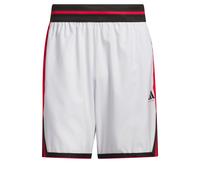 ADIDAS PERFORMANCE Pantalón deportivo gris / rojo / negro Lxregular gris / rojo / negro