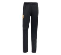 ADIDAS PERFORMANCE Pantalón deportivo 'Japan Originals' azul claro / amarillo / negro Lxregular EUR