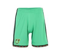 ADIDAS PERFORMANCE Pantalón deportivo 'JFF' amarillo / verde claro / rojo / negro L EUR