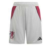 ADIDAS PERFORMANCE Pantalón deportivo 'Jude Bellingham' gris claro / granadina / negro 164xregular gris claro / granadina / negro