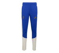 ADIDAS PERFORMANCE Pantalón deportivo 'Juventus Turin 26/27 Tiro26 Competition' azul / oro / blanco natural 104xregular EUR