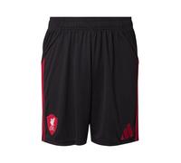 ADIDAS PERFORMANCE Pantalón deportivo 'Liverpool FC 25/26' rojo / negro L rojo / negro