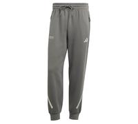 ADIDAS PERFORMANCE Pantalón deportivo 'Mercedes-AMG Petronas F1 Team' gris / gris claro Mxregular gris / gris claro