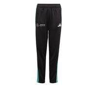 ADIDAS PERFORMANCE Pantalón deportivo 'Mercedes - AMG Petronas Formula One Team DNA' aqua / negro / blanco 152xregular aqua / negro / blanco