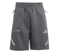 ADIDAS PERFORMANCE Pantalón deportivo 'Mercedes - AMG Petronas Formula One Team' gris claro / gris oscuro 128 gris claro / gris oscuro