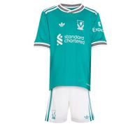 ADIDAS PERFORMANCE Ropa deportiva 'FC Liverpool 25/26''' jade / rojo oscuro / blanco natural 98xTallas normales jade / rojo oscuro / blanco natural