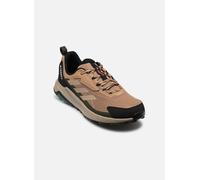Zapatillas de Montaña adidas Terrex Anylander Hombre Marrón 11 UK,11.5 US,28.4 CM,46 EU