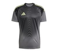adidas Performance Tiro 25 Competition - Camiseta de portero para hombre, color gris, talla XL