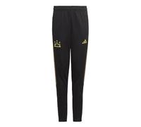 Adidas, Salah TR Pnt Y, Pantalones, Negro, 910A, Muchacho