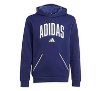 adidas Seasonals Essentials Collegiate Typography Hoodie 9-10 Years