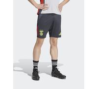 adidas Short de hombre SL Benfica 2024/2025 Tiro24 Training Short adidas. Gris L