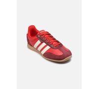adidas sportswear BARREDA LO W 38 Rojo