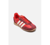 adidas sportswear BARREDA LO W 39 1/3 Rojo