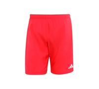 ADIDAS SPORTSWEAR Bermudas 'ESS' rojo XL EUR