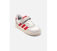 adidas sportswear BREAKBASE C 31 Multicolor