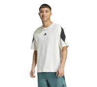 Camiseta de manga corta Stadium Hombre Talla L. Color Blanco