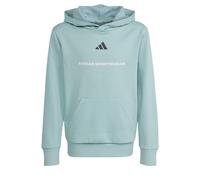 ADIDAS SPORTSWEAR Camiseta deportiva 'adidas Slogan Fleece' verde / negro / blanco 152 verde / negro / blanco