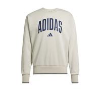 ADIDAS SPORTSWEAR Camiseta deportiva 'COLLEGIATE' arena / azul oscuro M arena / azul oscuro