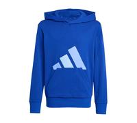 adidas Unisex niños Essentials Big Logo Hoodie Sweatshirt, Team Royal Blue/Blue Fusion/Glow Blue, 11-12 Years