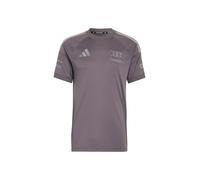 ADIDAS SPORTSWEAR Camiseta funcional 'Audi Formula One Team Driver' color barro / gris oscuro XS-S EUR