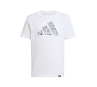 ADIDAS SPORTSWEAR Camiseta funcional 'Camo Graphic Tee' gris / gris claro / negro / blanco 128 gris / gris claro / negro / blanco