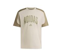 adidas Uomo Collegiate T-Shirt, Silver Pebble/Olive strata, M