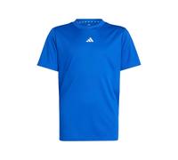 ADIDAS SPORTSWEAR Camiseta funcional 'Essentials' azul / blanco 164 azul / blanco