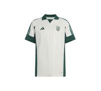 ADIDAS SPORTSWEAR Camiseta funcional 'LUX TIRO' esmeralda / blanco L EUR