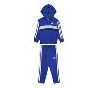 ADIDAS SPORTSWEAR Chándal 'Essentials Tiberio' azul real / azul claro / azul oscuro / blanco 116 azul real / azul claro / azul oscuro / blanco
