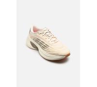 Zapatilla Climacool Spw adidas MKP
